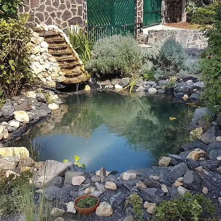 Apartman Bed&badacsony *