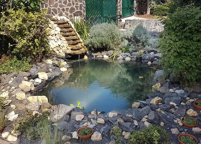 Apartamento Bed & Badacsony *